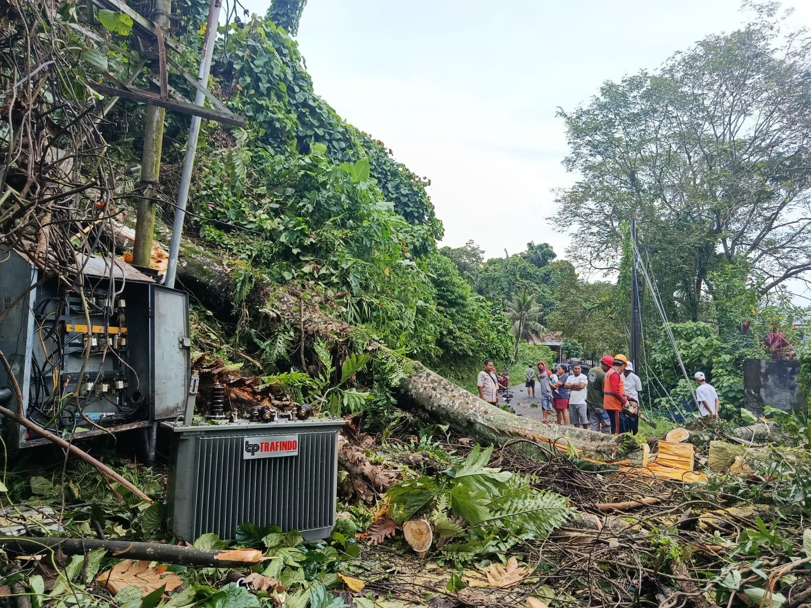 ‎‎Hantam Gardu Milik PLN , Tim Leader UP3 Manado Gercep Pulihkan Jaringan Listrik