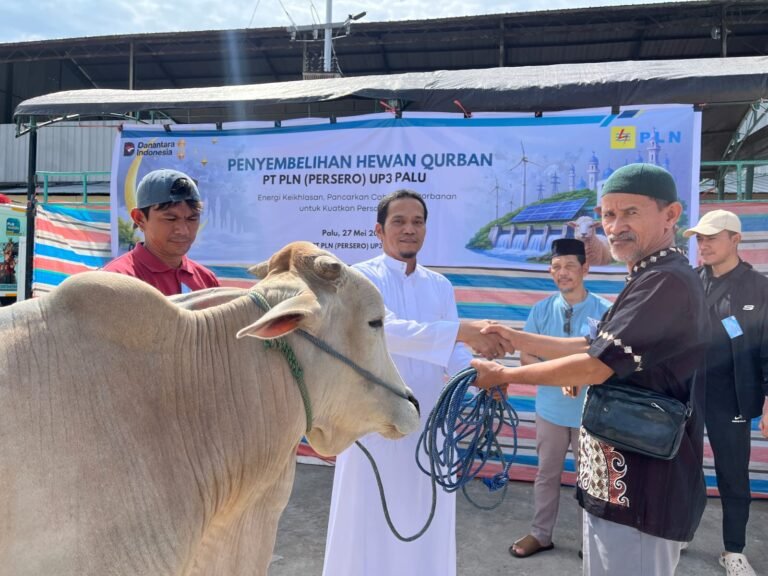 Tebar Berkah Idul Adha 1447 H, PLN UID Suluttenggo Salurkan Puluhan Hewan Qurban